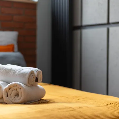 Апартаменты Loftowy Apartament Przy Stawie, Blisko Zoo, Aquaparku I Lasow - Parking Dla 4 Aut